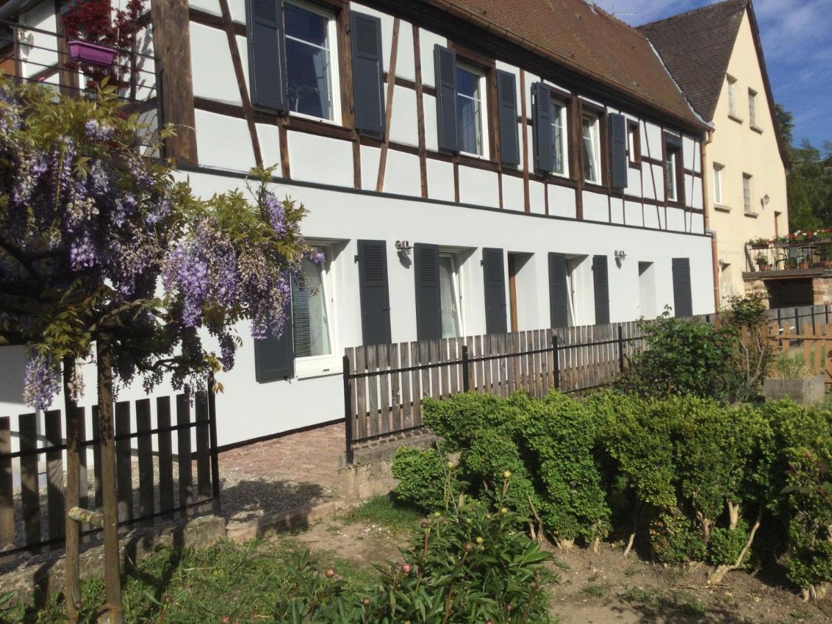 Gite Cote Jardin Ingersheim Exterior photo